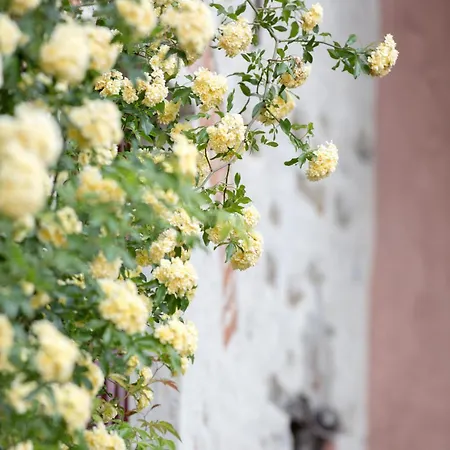 Lacasarossamurazzano فندق مبيت وإفطار