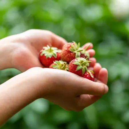 Lacasarossamurazzano Murazzano (Cuneo)