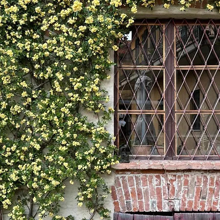 Lacasarossamurazzano 3*