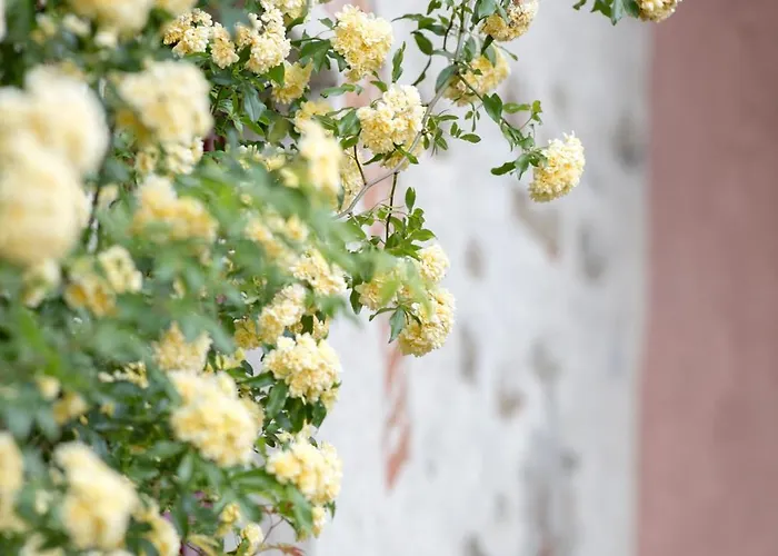 Lacasarossamurazzano Frühstückspension