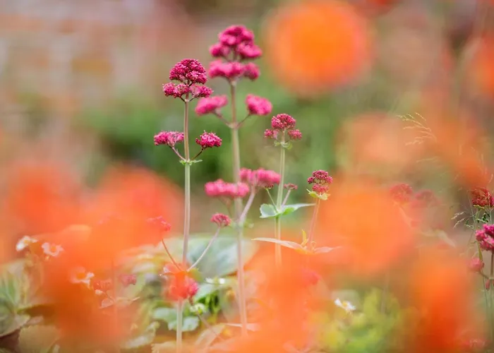 Lacasarossamurazzano Murazzano (Cuneo)